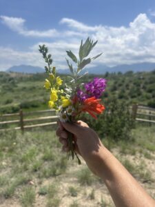 hand pick flowers